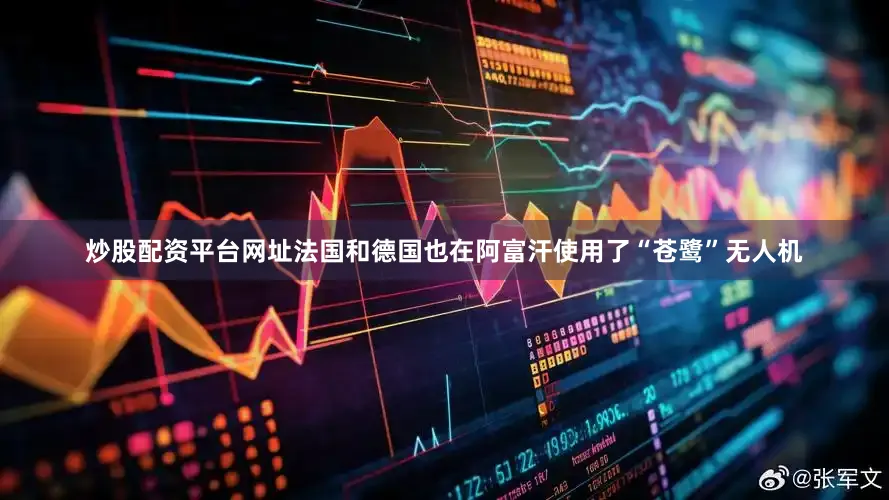 炒股配资平台网址法国和德国也在阿富汗使用了“苍鹭”无人机