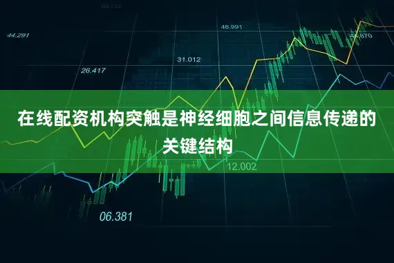 在线配资机构突触是神经细胞之间信息传递的关键结构